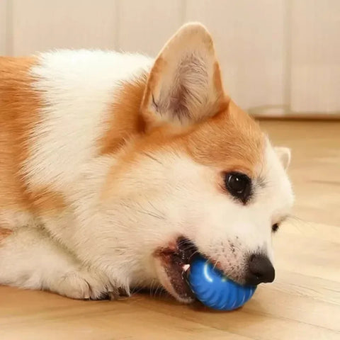 Automatic Moving Bounce Rolling Ball Dog Toy USB Smarts Puppy Interactive Dog Chew Toy Ball Dogs Accessories Pet Toys Home Cats