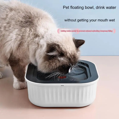 Non-Wetting Mouth Cat Bowl without Spill Dispenser, Plastic Drinking Water Bowl, Dog Drinking Water