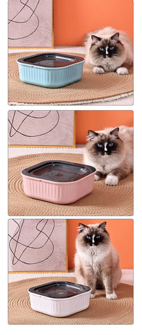 Non-Wetting Mouth Cat Bowl without Spill Dispenser, Plastic Drinking Water Bowl, Dog Drinking Water