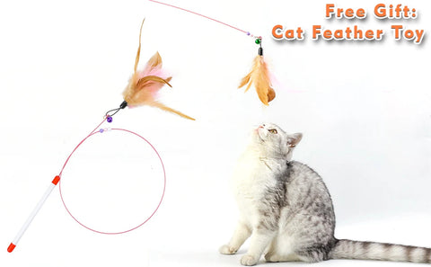 Large Pet Backpack Belt and Cat Stick, Feather Toy, Suitable for Medium and Small Cat, Weight Not Grounded 15 Gram (about 6.8 kg